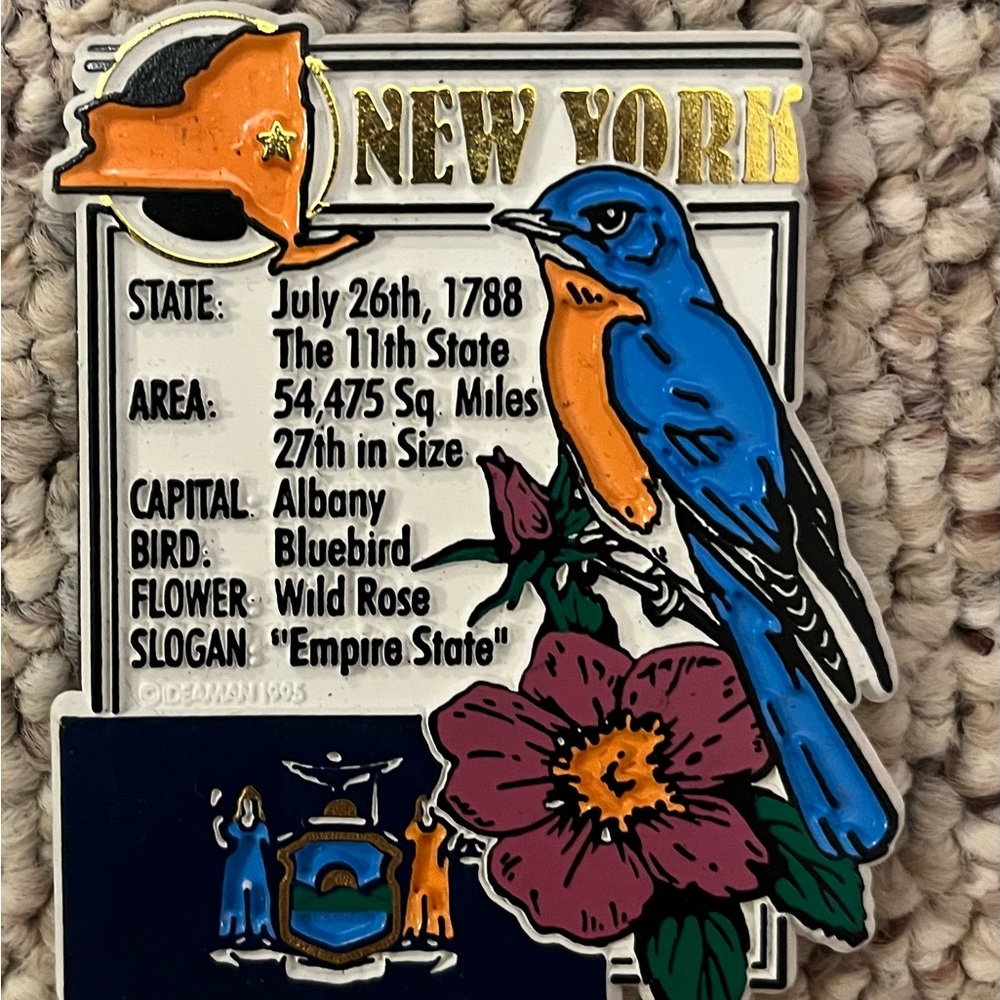 State Magnets - Picture 4 of 6
